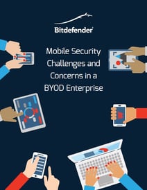 BYOD_Spiceworks.jpg