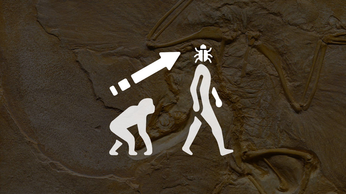 The Origin of Ransomware - Exploring the evolution of one of cybersecurity’s most prolific threats